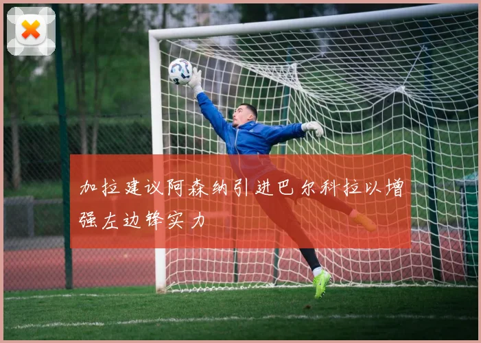 加拉建议阿森纳引进巴尔科拉以增强左边锋实力