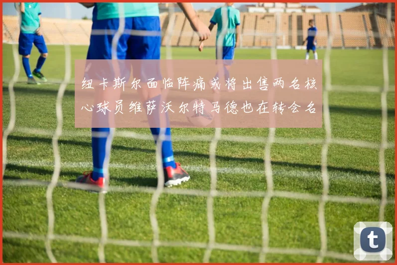 纽卡斯尔面临阵痛或将出售两名核心球员维萨沃尔特马德也在转会名单上