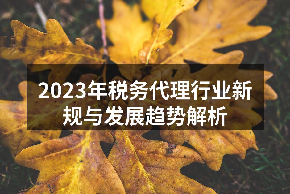 税务代理服务的数字化转型