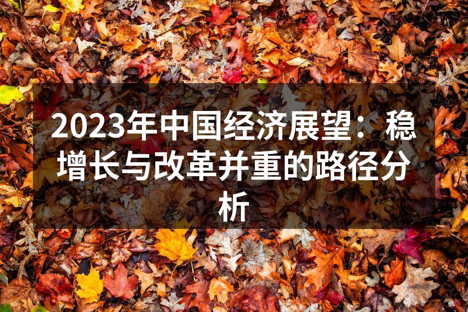 2023年中国经济展望：稳增长与改革并重的路径分析